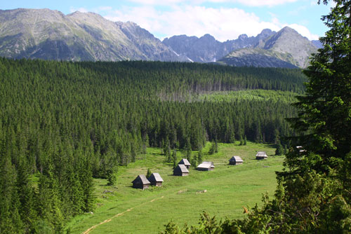 Polana pod Kopieńcem